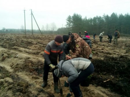 Весняні турботи